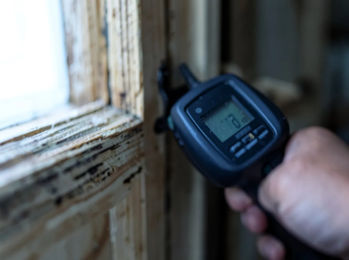 Commercial Water Damage Restoration in Crystal Bay, NV
